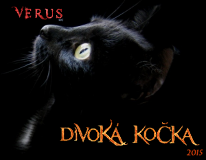 06---divoka-kocka-2015.png